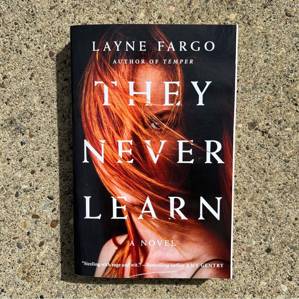 They Never Learn Novel by Layne Fargo
